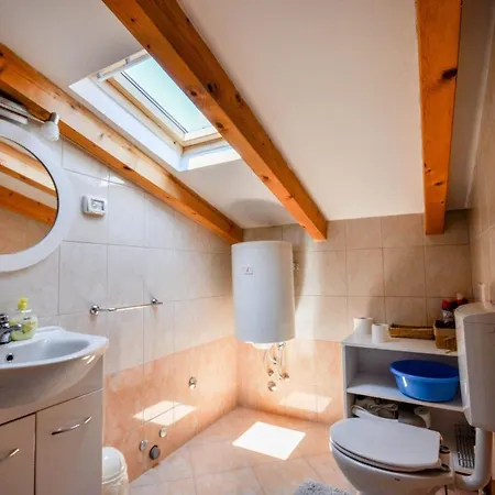 Apartment Gemuetliche In Novigrad Mit Grill Karpinjan